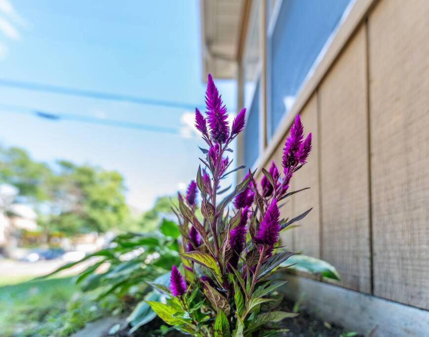 Entire House 3 Bedroom Twin Cities, Specious, Entire House, Ac セントポール エクステリア 写真